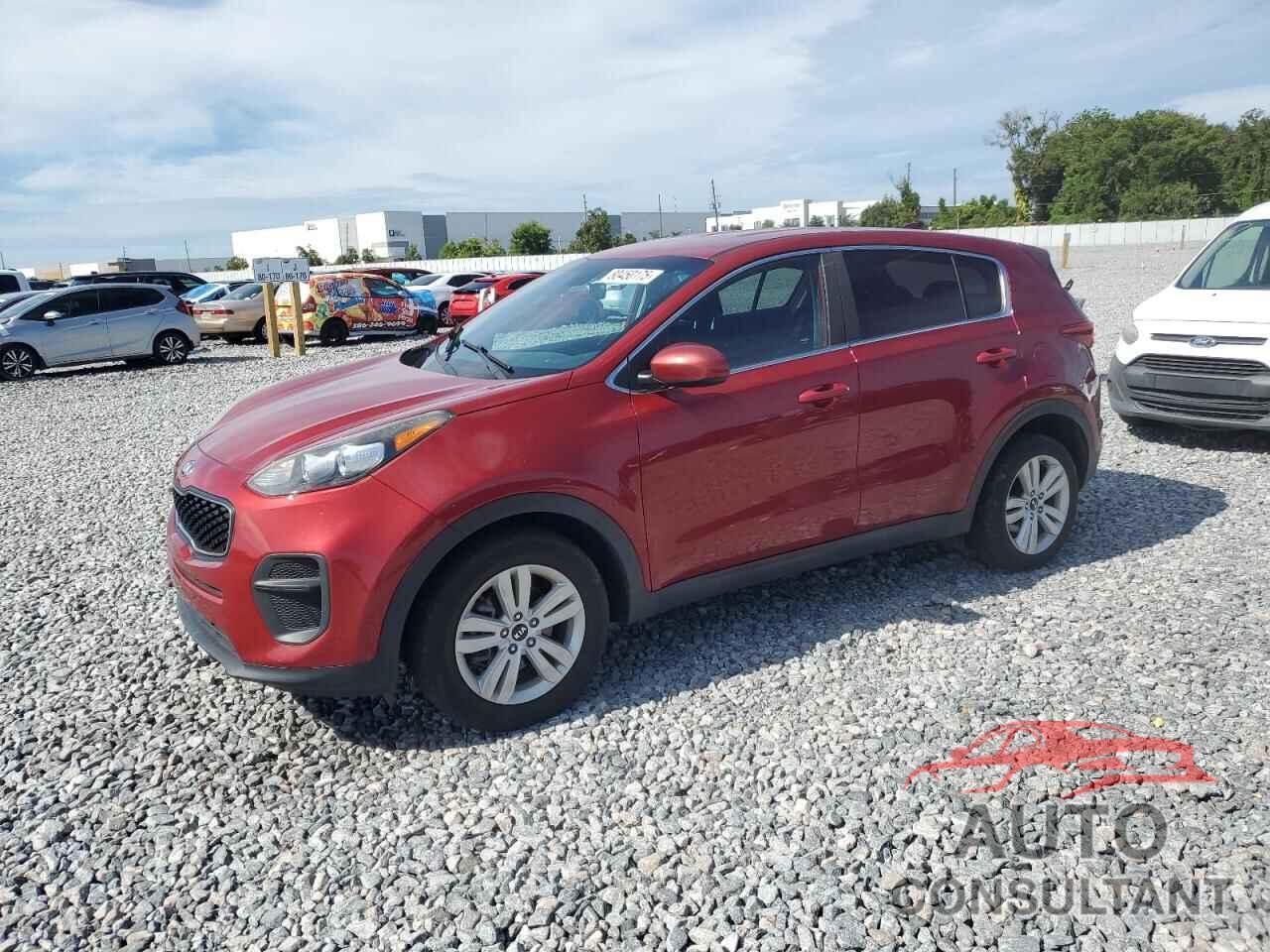 KIA SPORTAGE 2019 - KNDPM3AC6K7490984