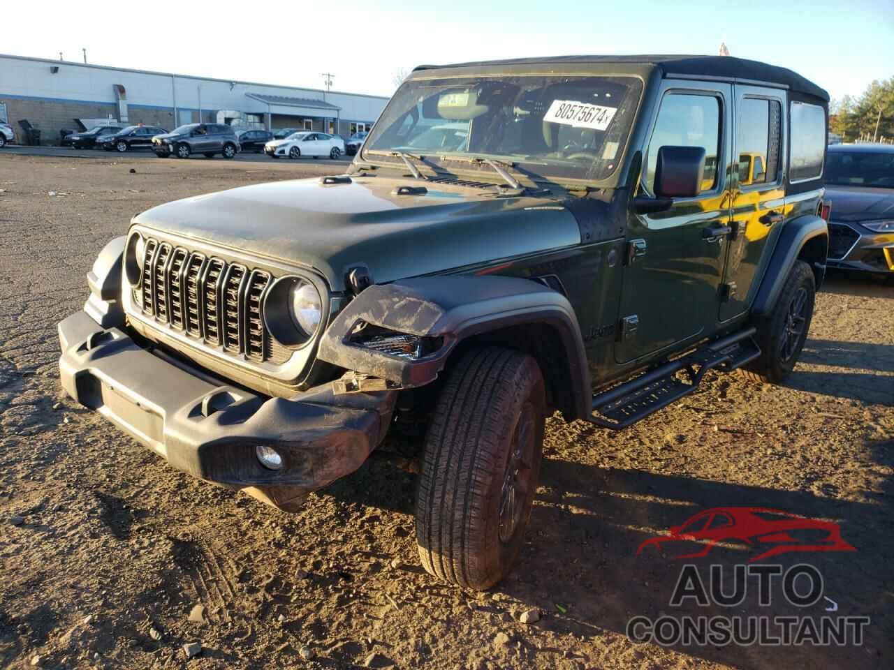 JEEP WRANGLER 2024 - 1C4PJXDN5RW101054
