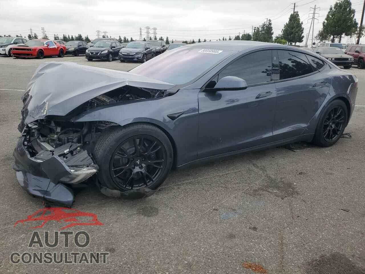 TESLA MODEL S 2021 - 5YJSA1E53MF439474