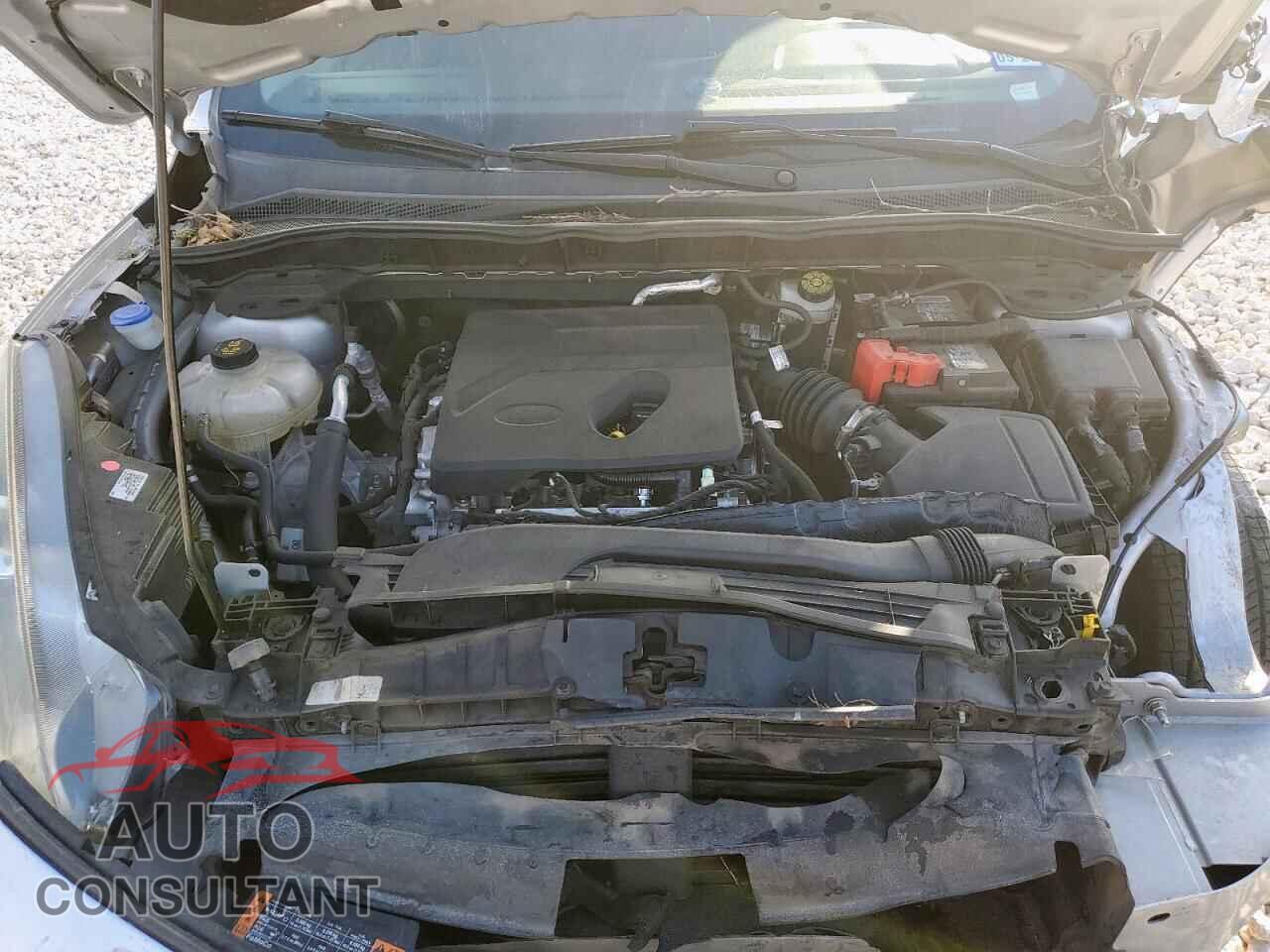 FORD ESCAPE 2020 - 1FMCU0G65LUA11385