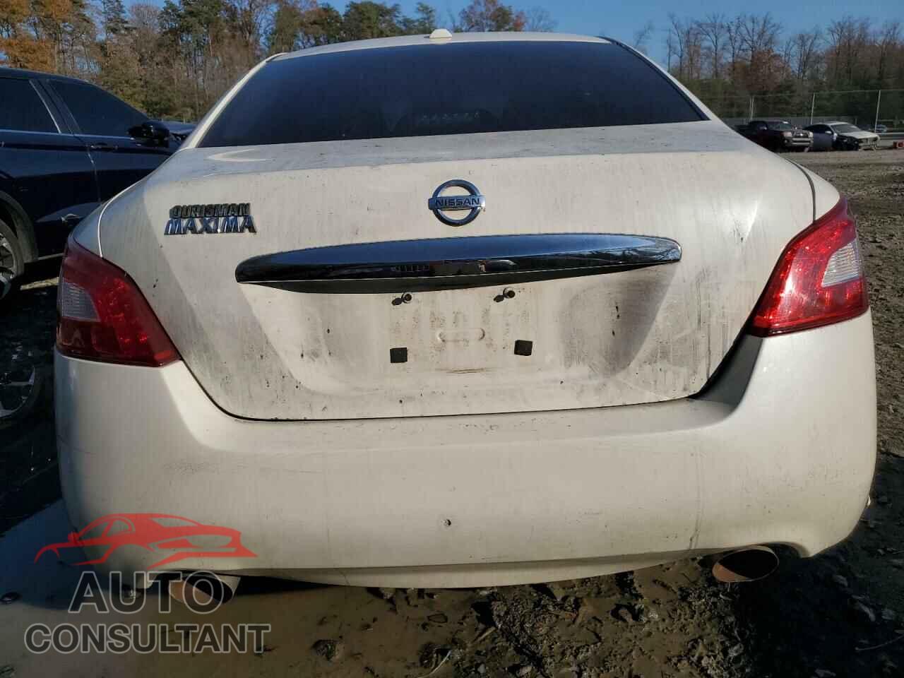 NISSAN MAXIMA 2010 - 1N4AA5AP1AC855922