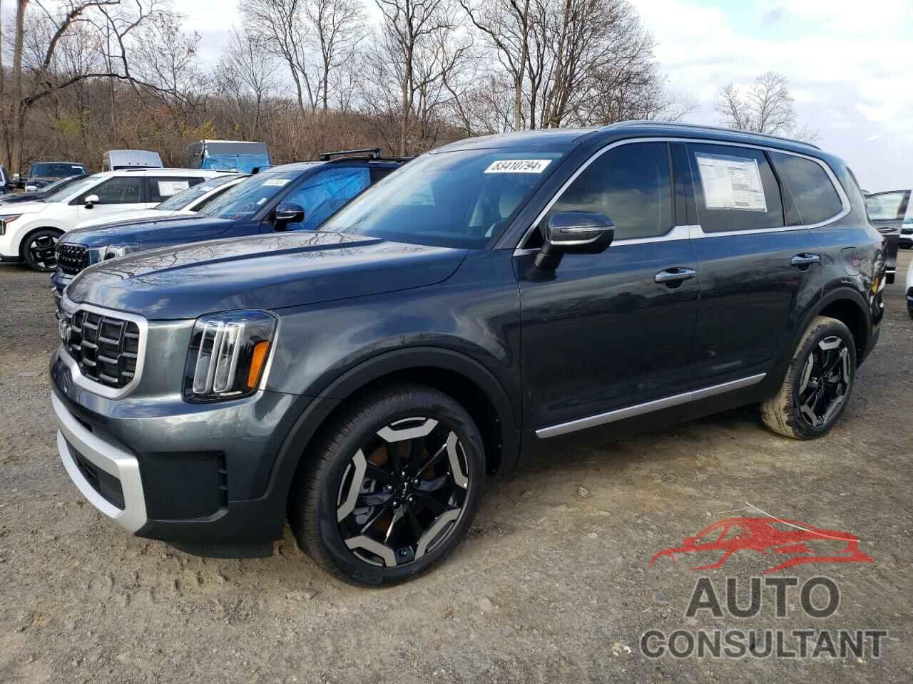 KIA TELLURIDE 2024 - 5XYP6DGC2RG542888