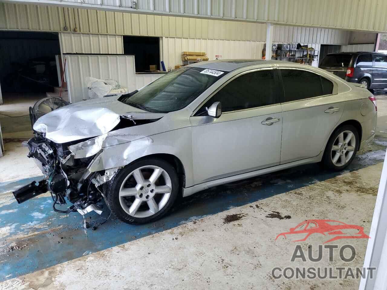 NISSAN MAXIMA 2009 - 1N4AA51E19C828648