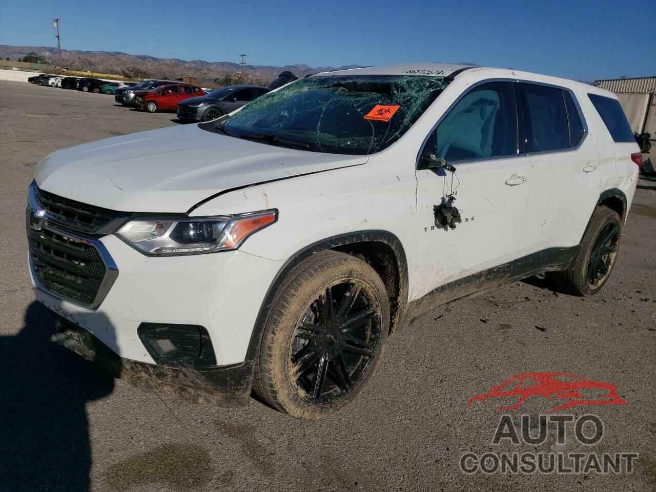 CHEVROLET TRAVERSE 2020 - 1GNEVFKW8LJ217250