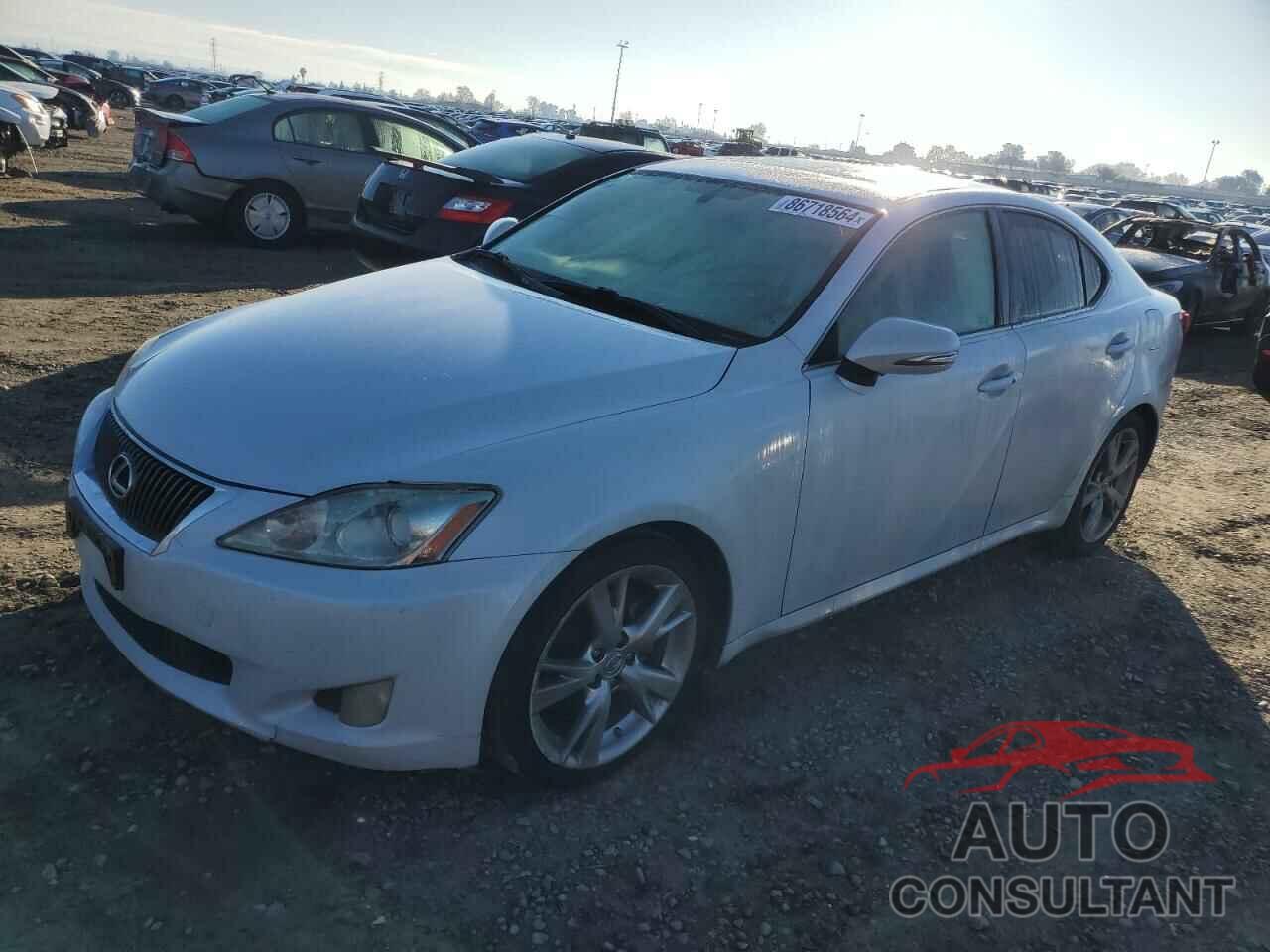 LEXUS IS 2009 - JTHBK262592086574