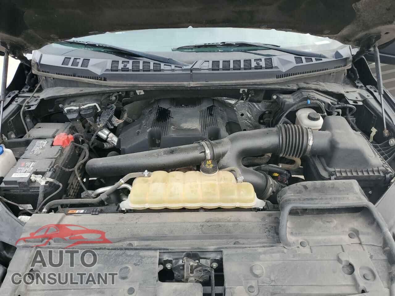 FORD F-150 2019 - 1FTEW1E40KFC83408