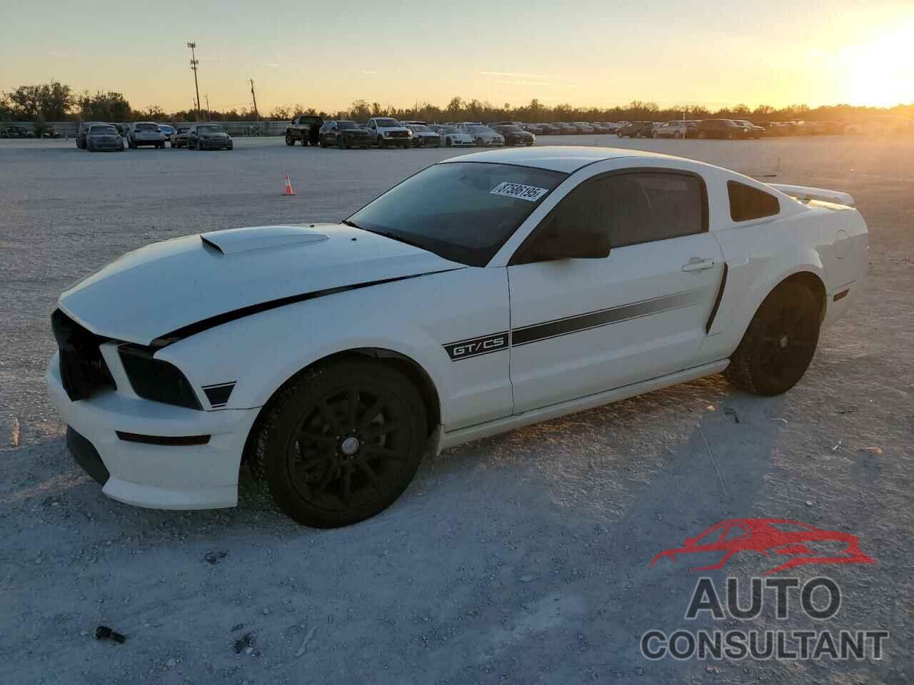 FORD MUSTANG 2009 - 1ZVHT82H495107271
