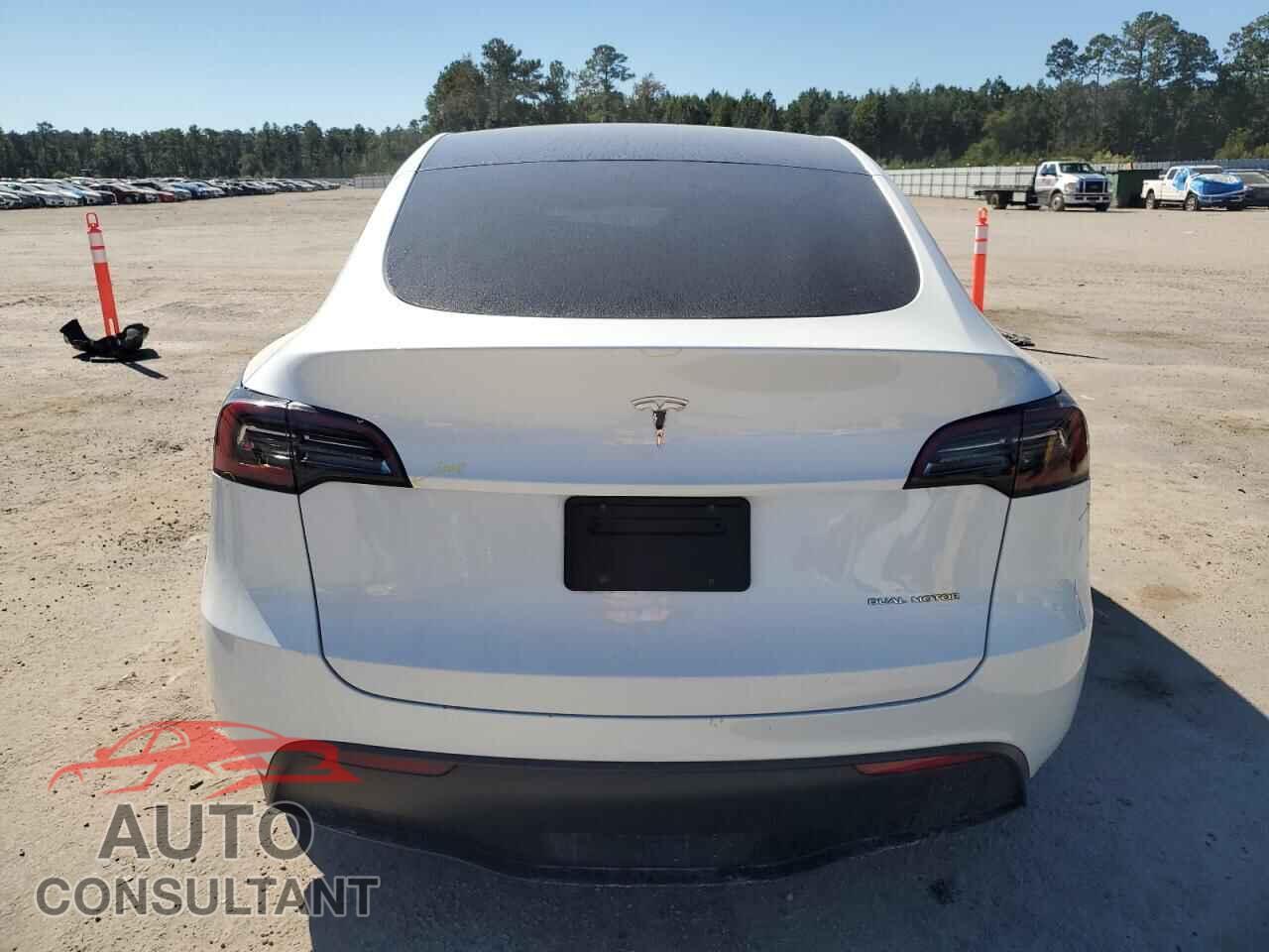 TESLA MODEL Y 2023 - 7SAYGAEE7PF877589