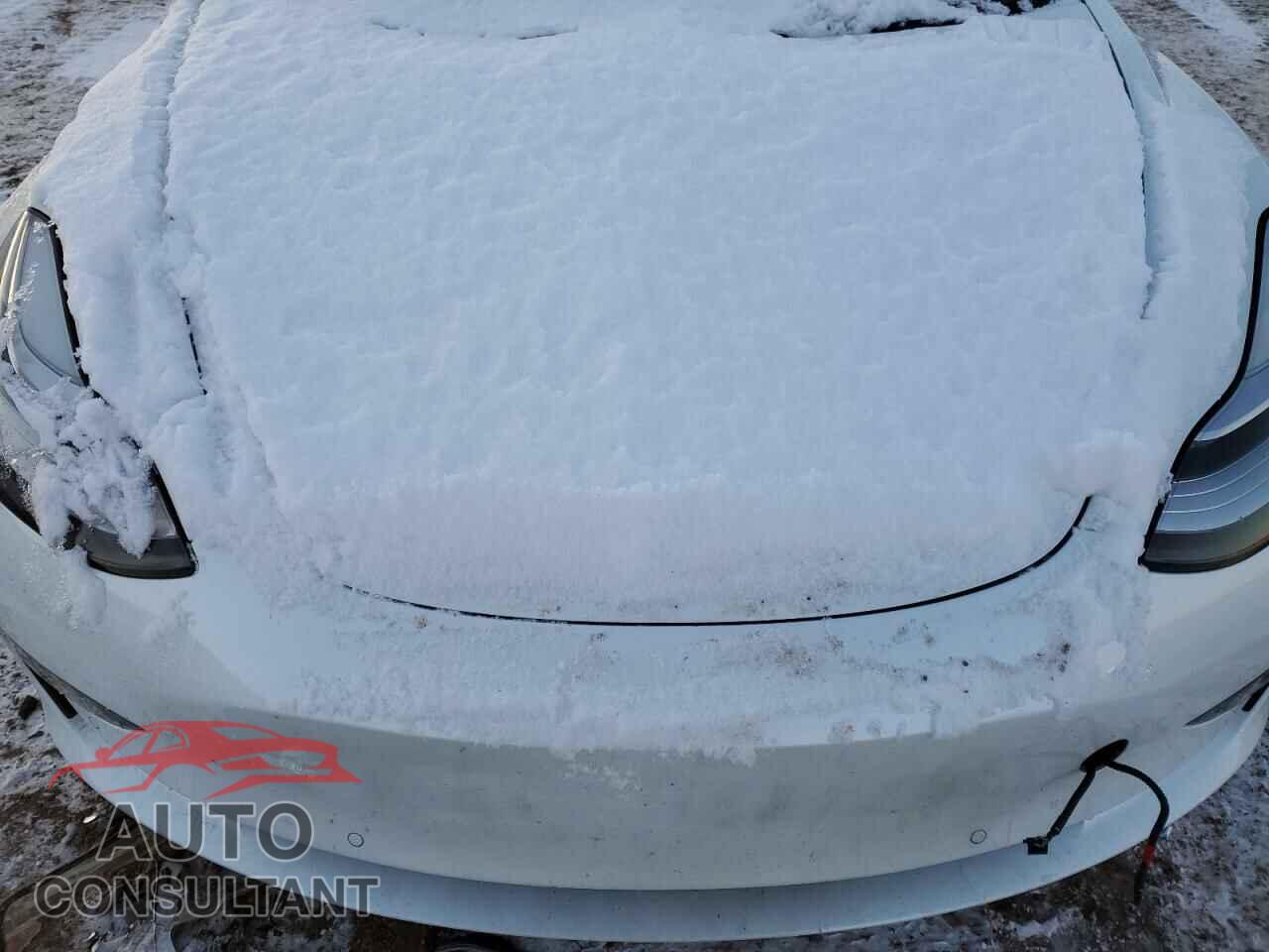 TESLA MODEL 3 2019 - 5YJ3E1EB0KF512442