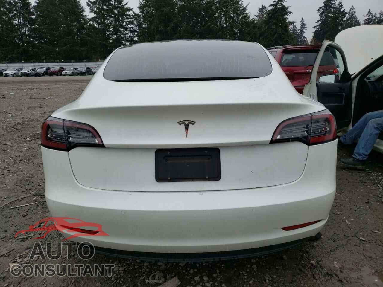 TESLA MODEL 3 2020 - 5YJ3E1EA4LF659629