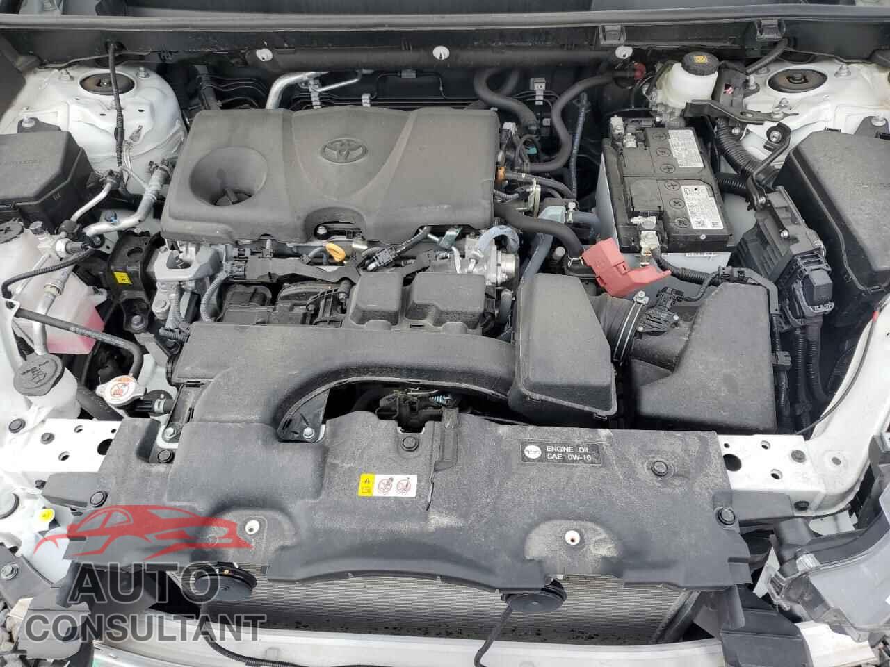 TOYOTA RAV4 2024 - 2T3P1RFVXRC471232