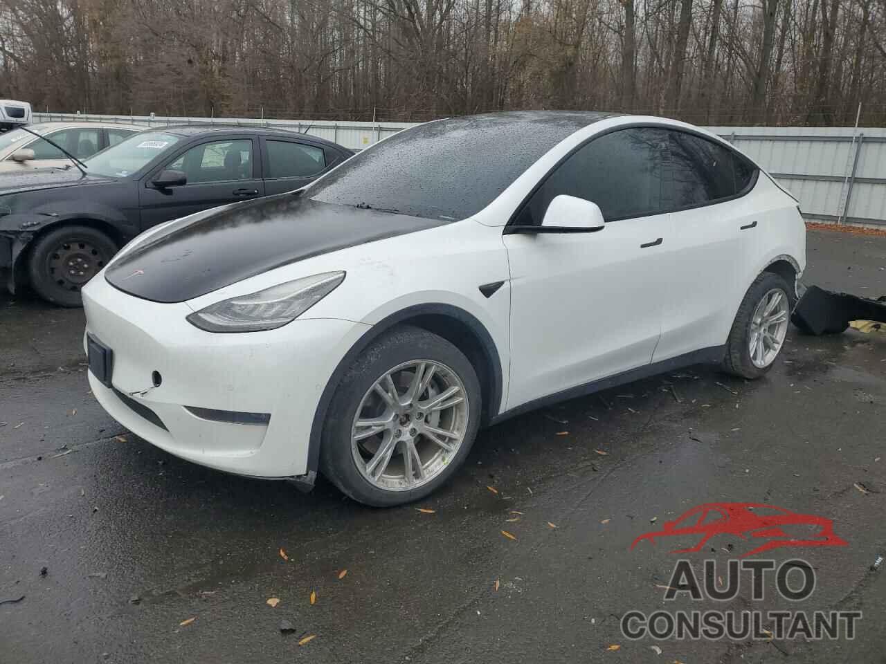 TESLA MODEL Y 2020 - 5YJYGDEE0LF047545