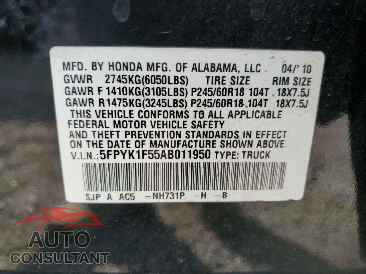HONDA RIDGELINE 2010 - 5FPYK1F55AB011950