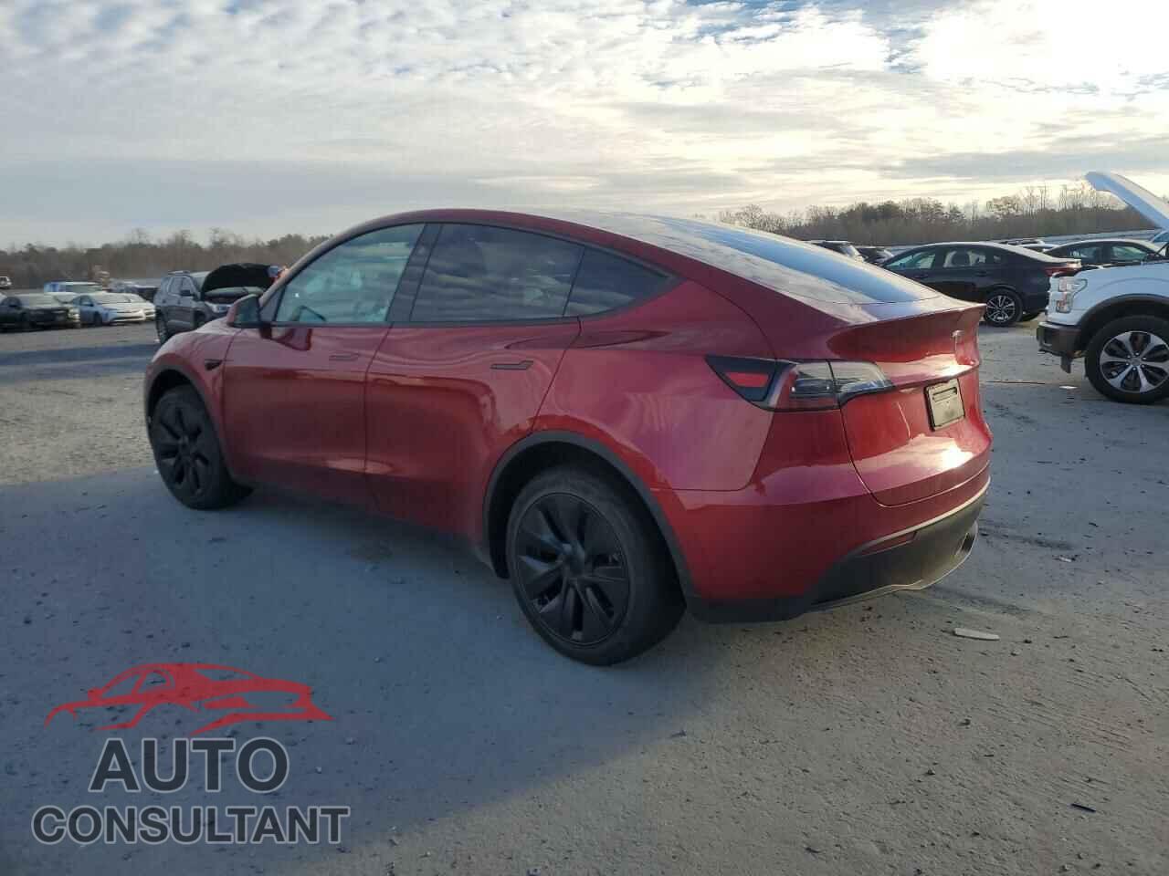 TESLA MODEL Y 2024 - 7SAYGDED1RF132705