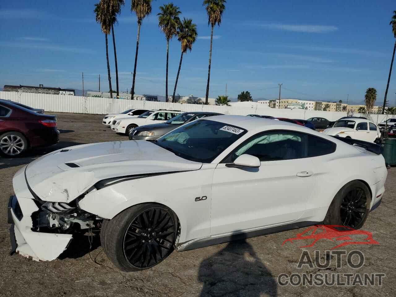 FORD MUSTANG 2019 - 1FA6P8CF6K5123446