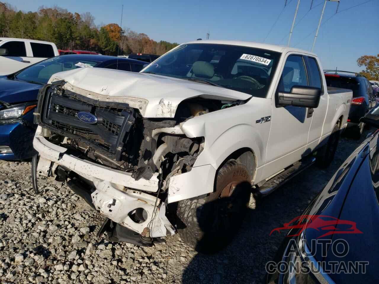 FORD F-150 2013 - 1FTFX1CF0DFB79851