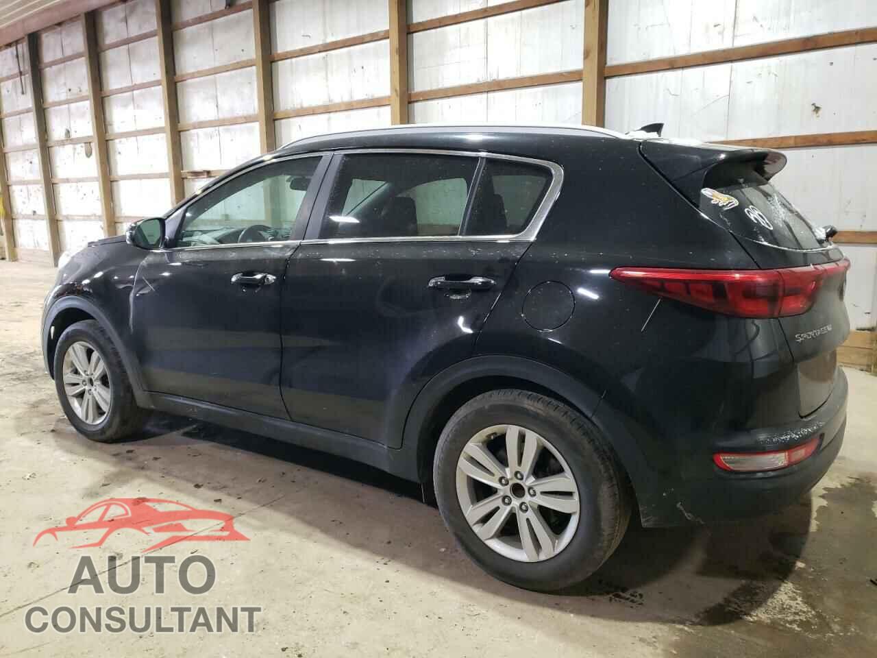 KIA SPORTAGE 2017 - KNDPM3AC5H7283334
