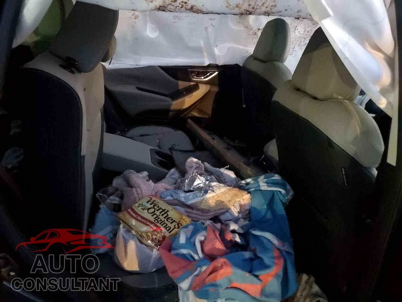SUBARU FORESTER 2019 - JF2SKAUC3KH404543