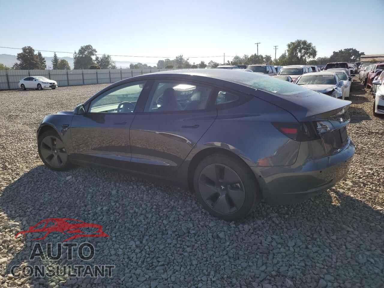 TESLA MODEL 3 2022 - 5YJ3E1EB3NF313633