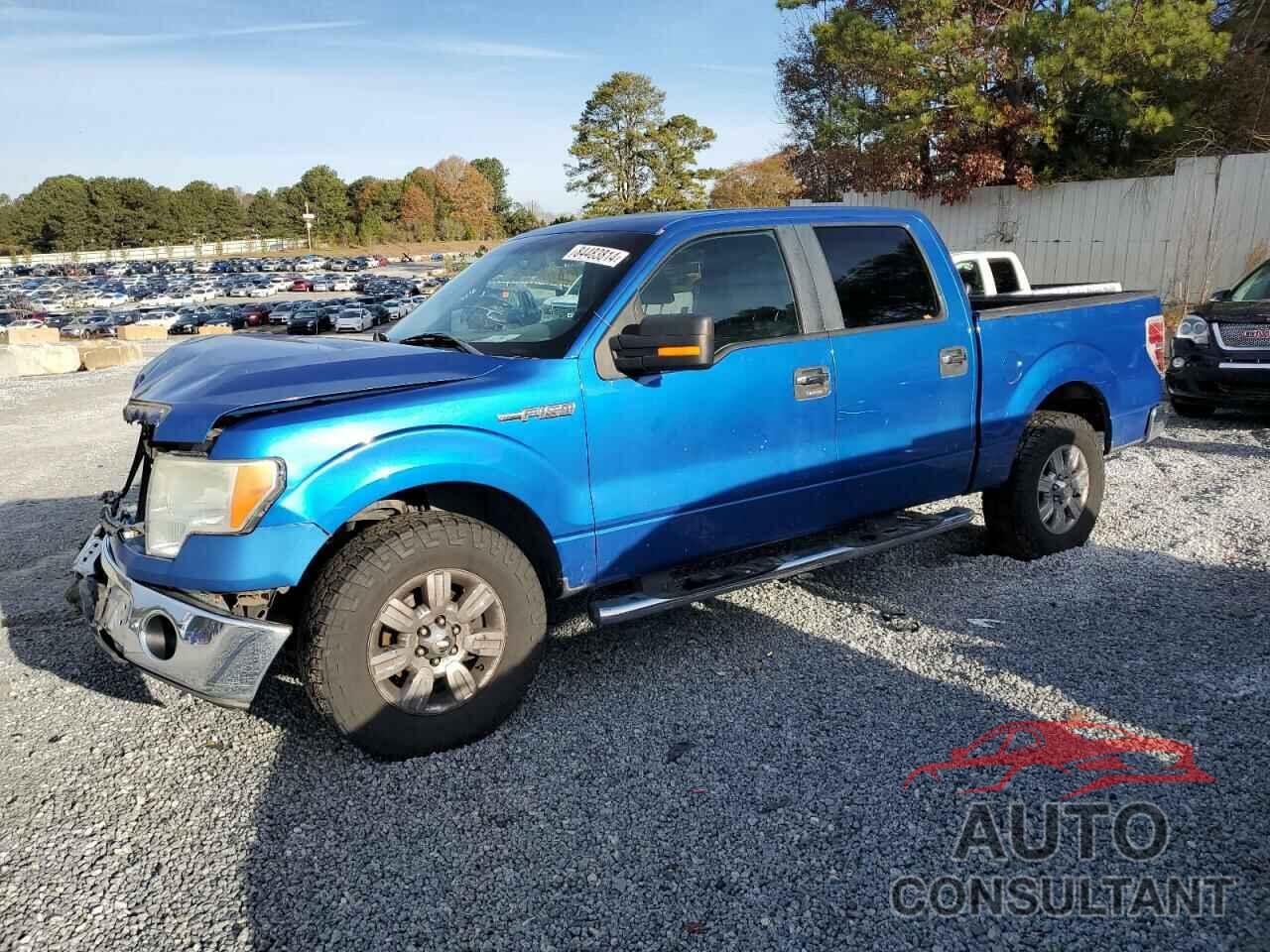 FORD F-150 2009 - 1FTRW12869FA63080