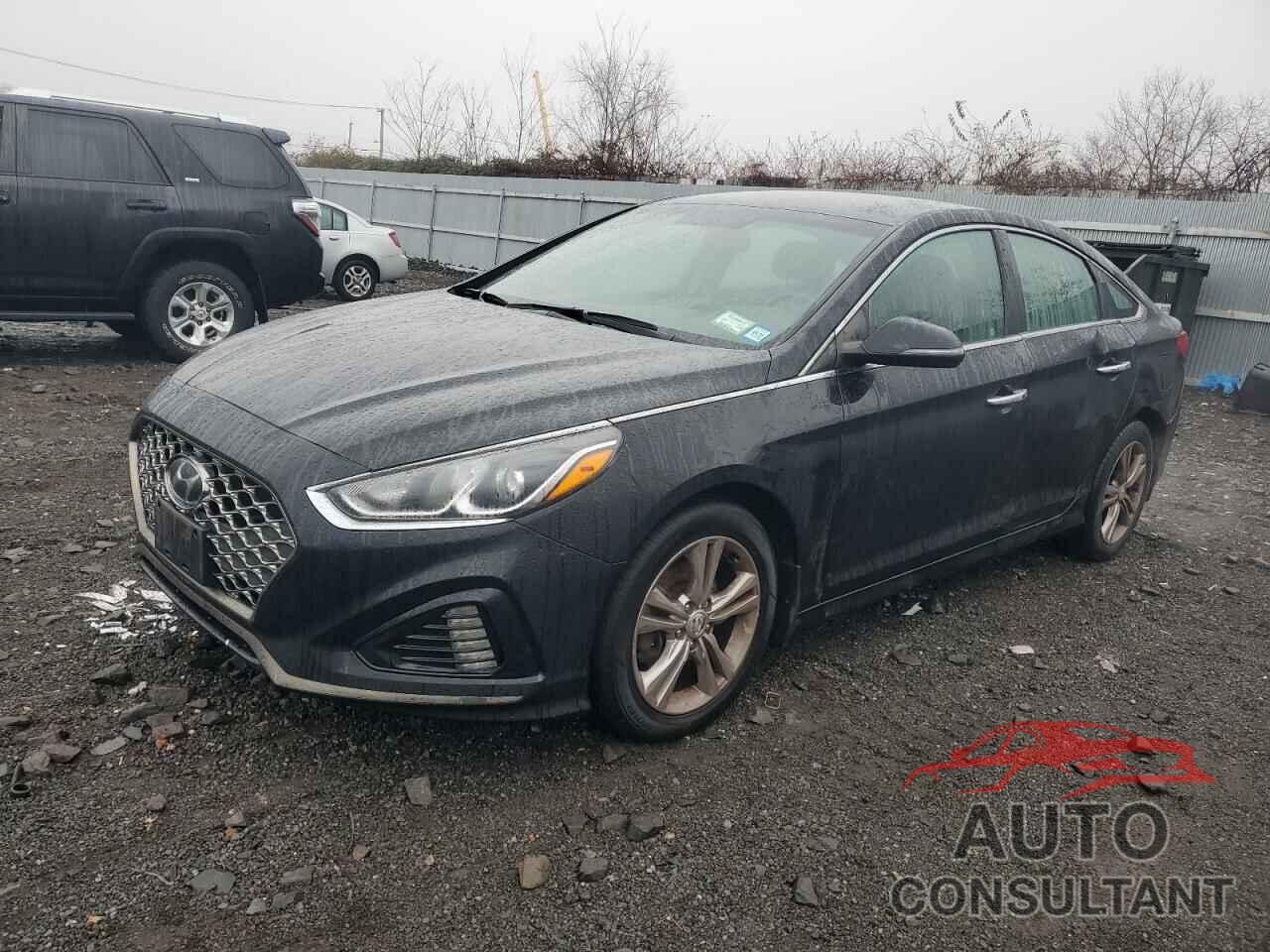 HYUNDAI SONATA 2019 - 5NPE34AF5KH805781