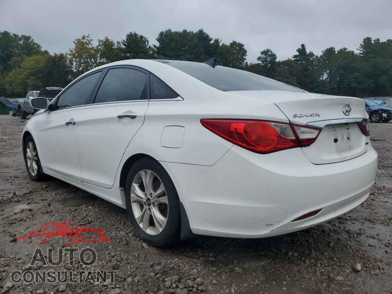 HYUNDAI SONATA 2013 - 5NPEC4AC6DH612029