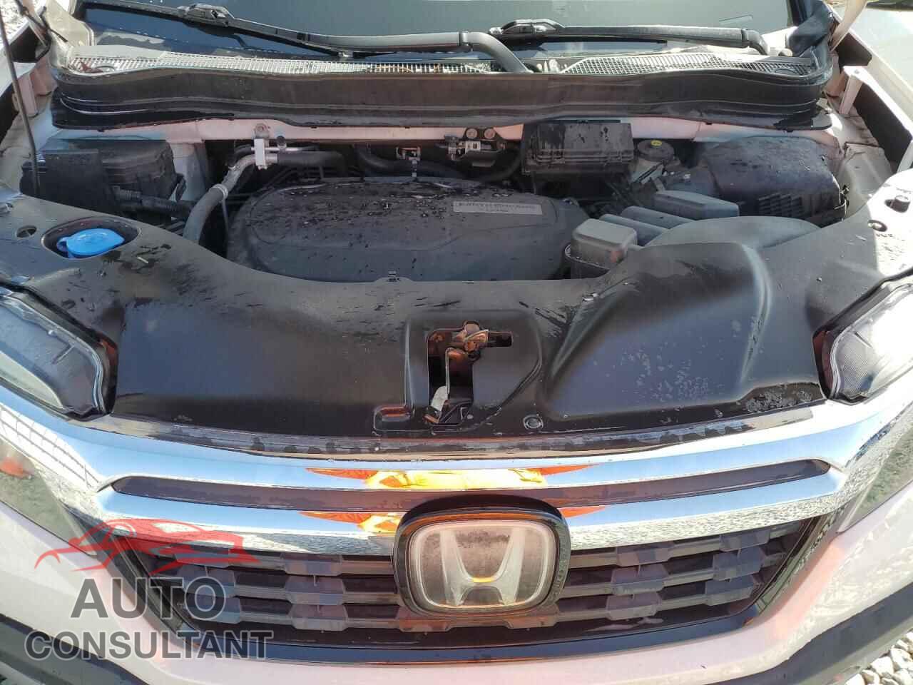 HONDA RIDGELINE 2019 - 5FPYK3F78KB007714