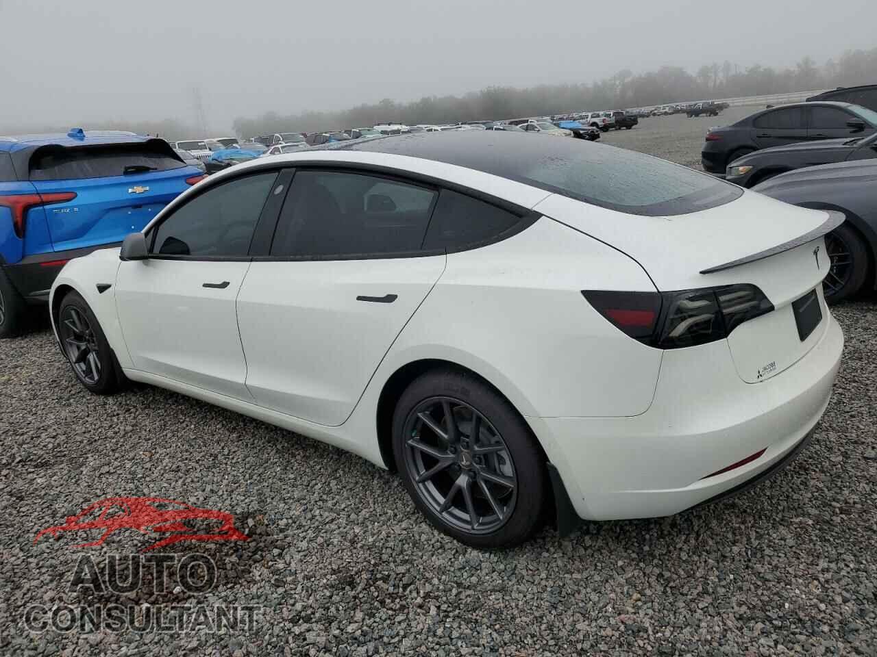 TESLA MODEL 3 2021 - 5YJ3E1EB8MF033043