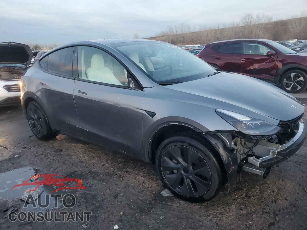 TESLA MODEL Y 2024 - 7SAYGDEE0RF156776