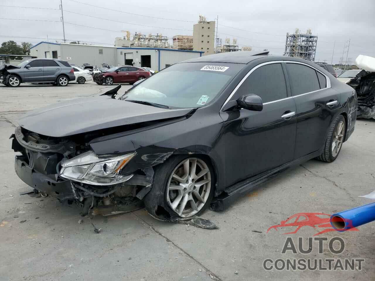 NISSAN MAXIMA 2011 - 1N4AA5AP0BC841866