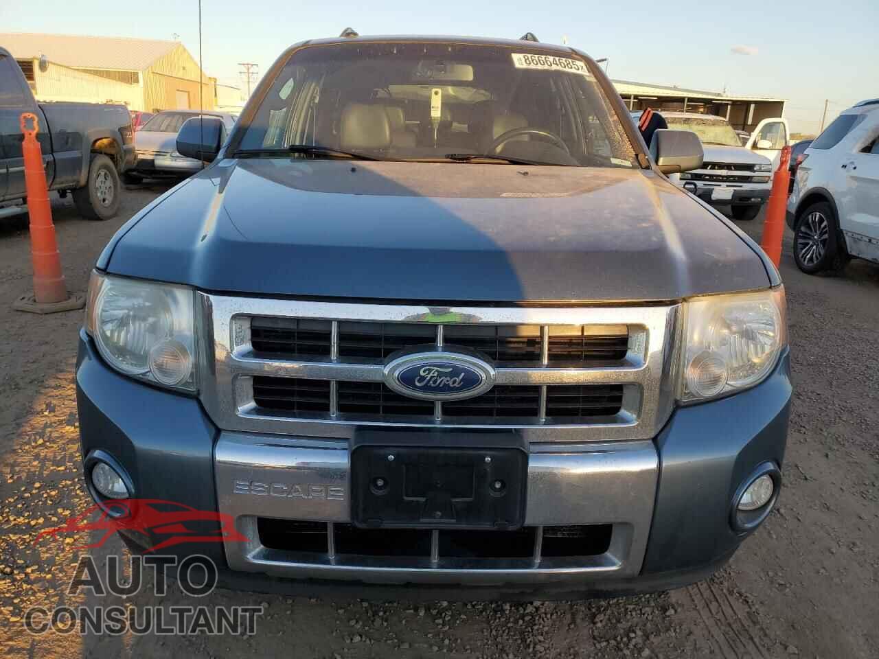 FORD ESCAPE 2010 - 1FMCU9EG0AKC83612