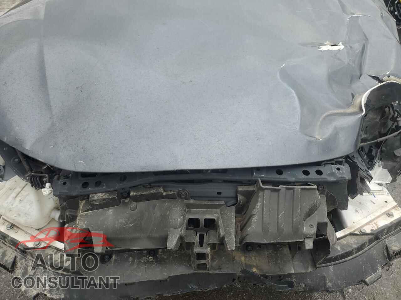 HONDA CIVIC 2023 - 2HGFE2F59PH542943