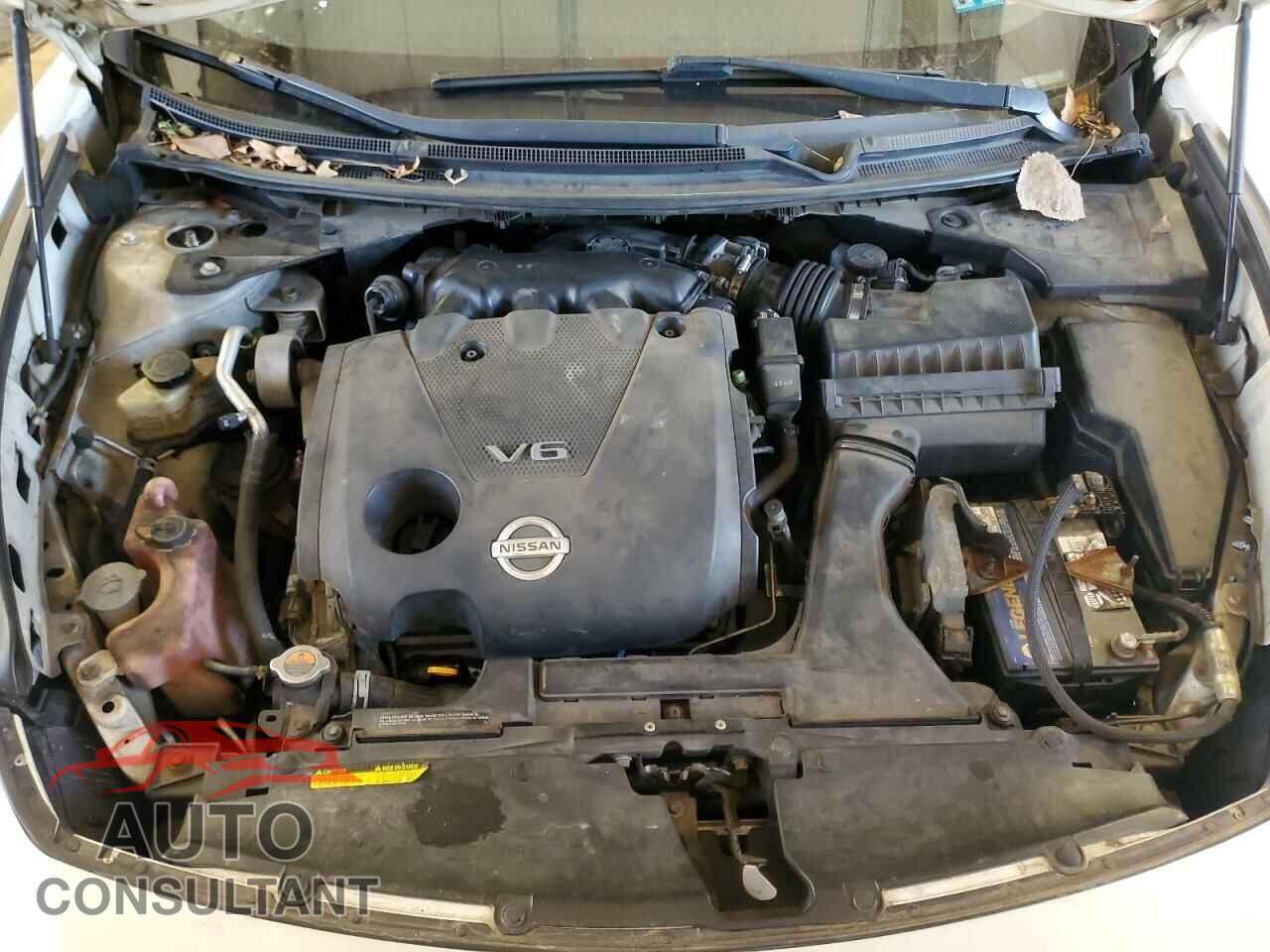 NISSAN MAXIMA 2011 - 1N4AA5AP1BC819987