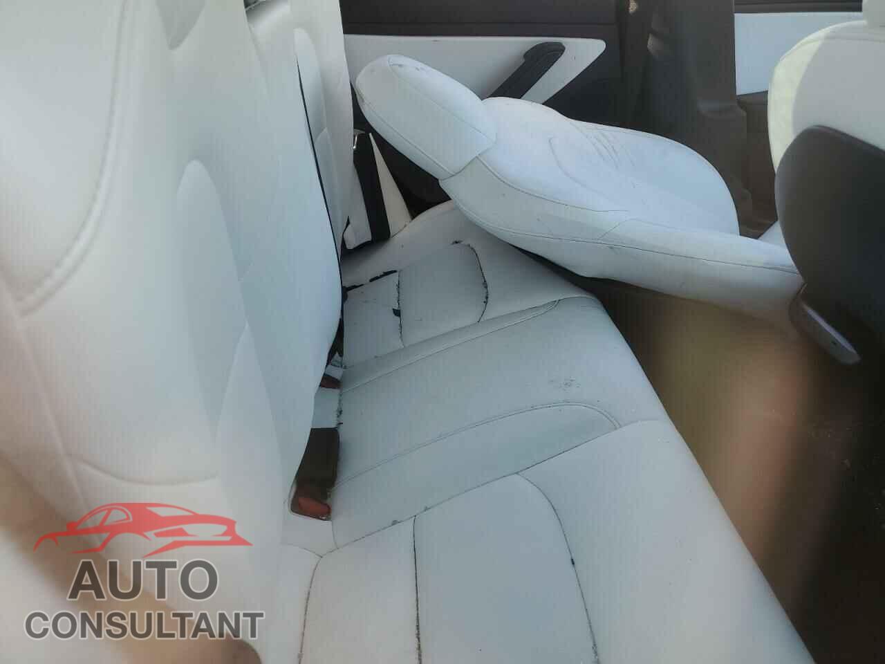TESLA MODEL 3 2020 - 5YJ3E1EA7LF806865