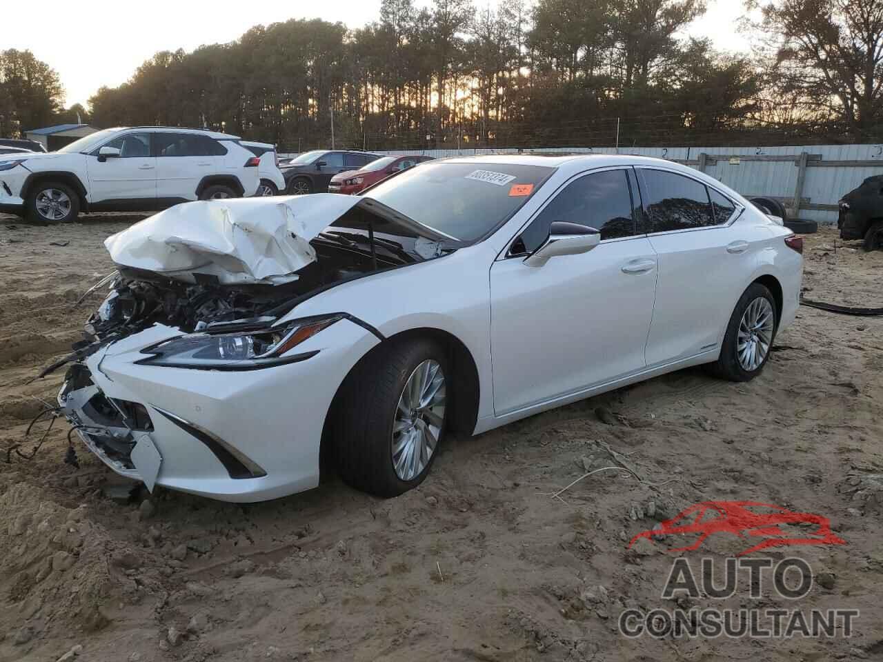 LEXUS ES300 2019 - JTHB21B1XK2015240