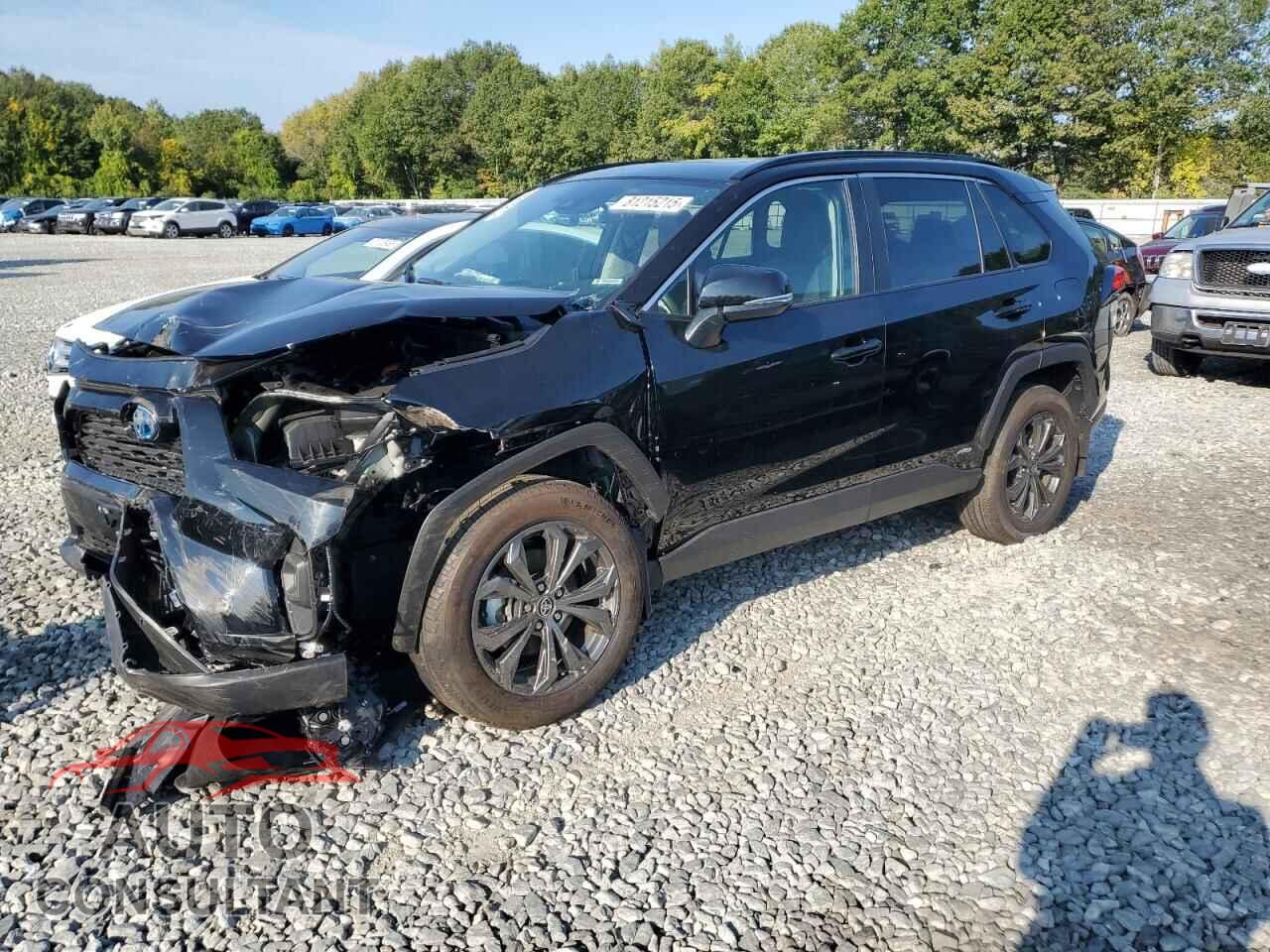 TOYOTA RAV4 2024 - 2T3B6RFV2RW083065