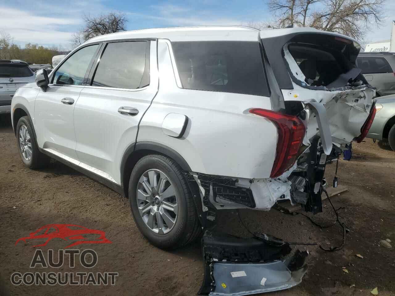 HYUNDAI PALISADE 2025 - KM8R2DGEXSU818868