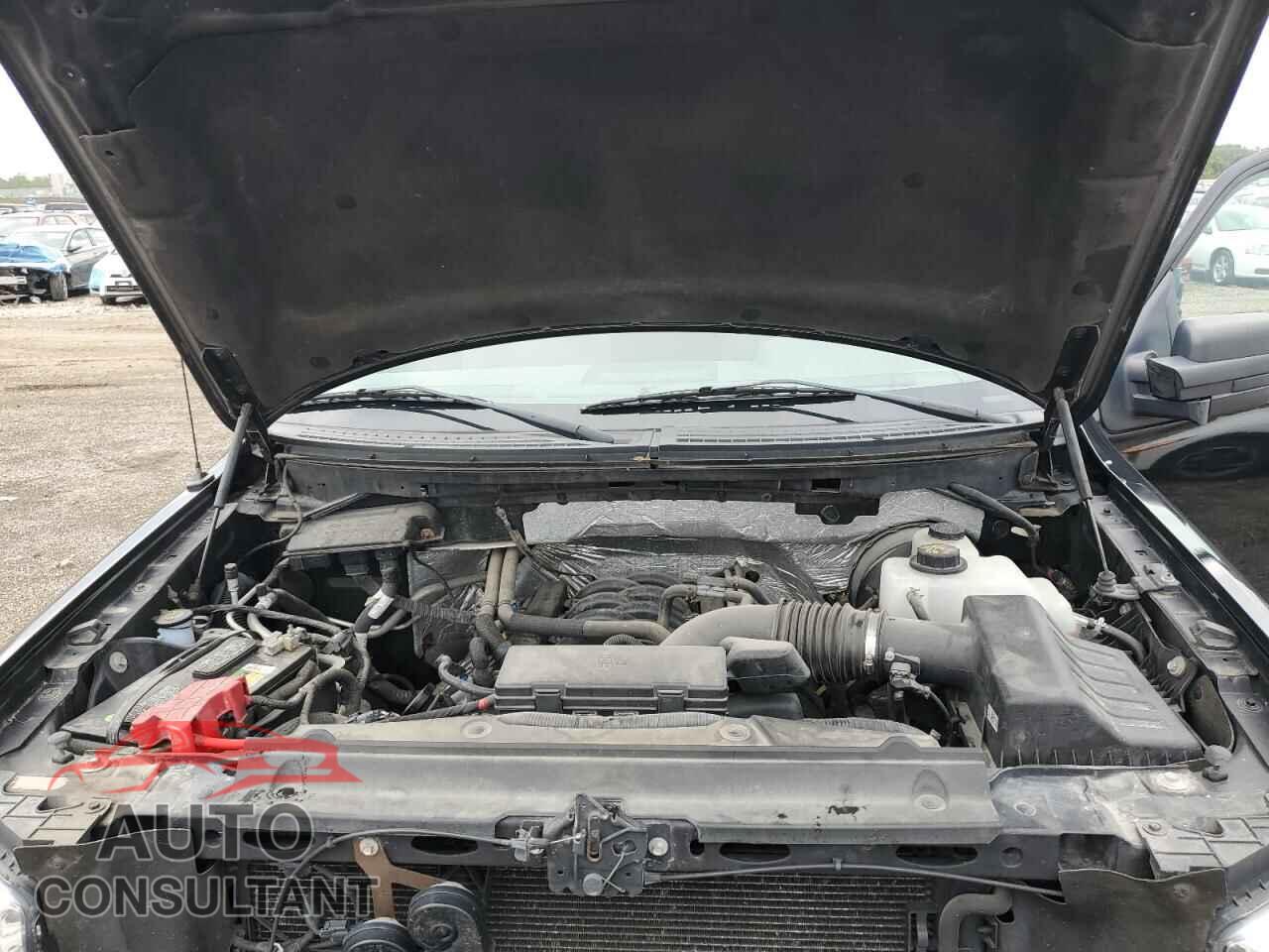 FORD F-150 2012 - 1FTFX1CF1CFB24467
