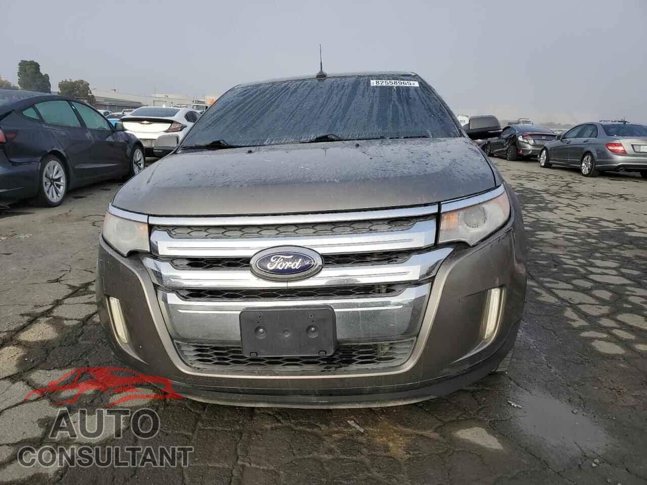FORD EDGE 2014 - 2FMDK4JC8EBA46365