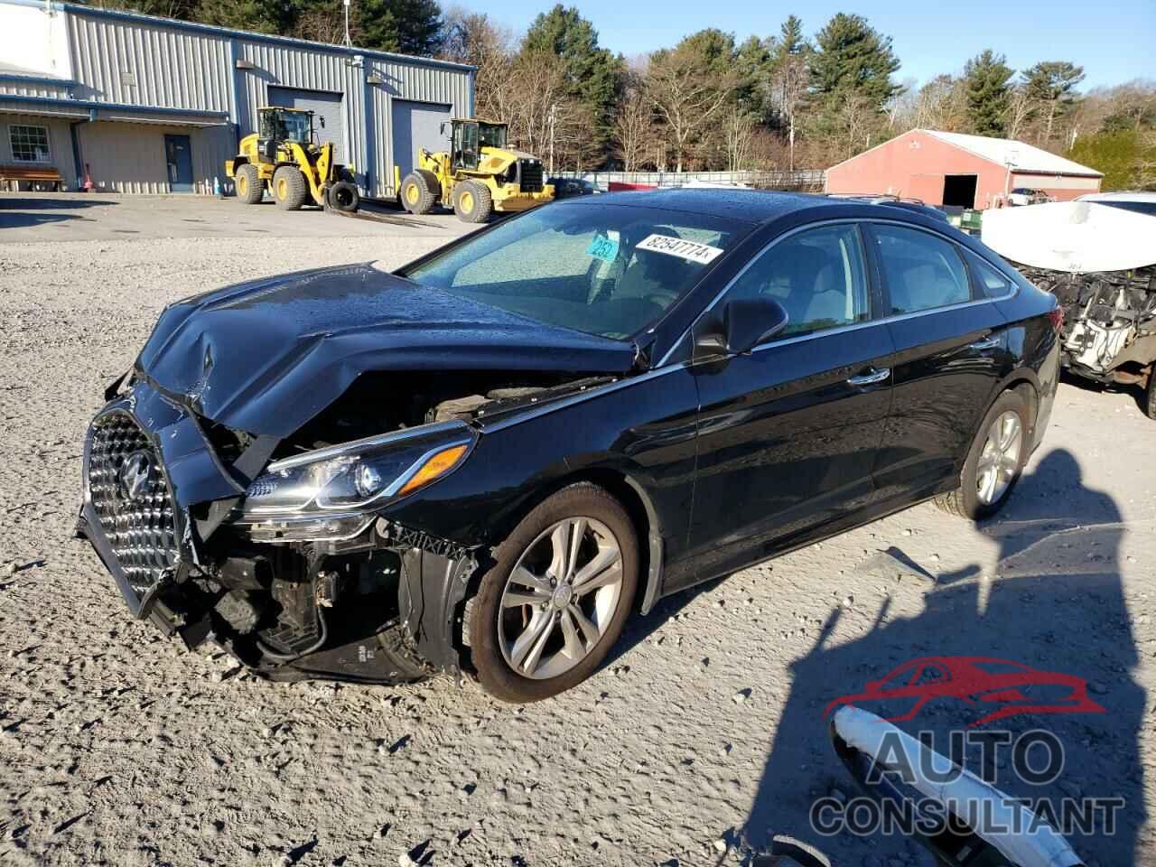 HYUNDAI SONATA 2019 - 5NPE34AF3KH729493