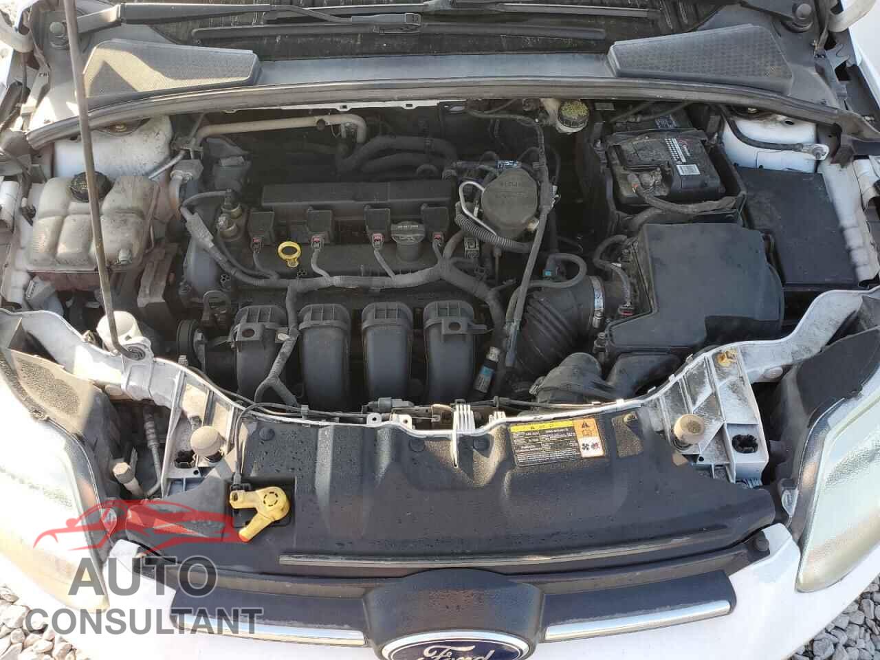 FORD FOCUS 2014 - 1FADP3F22EL130333
