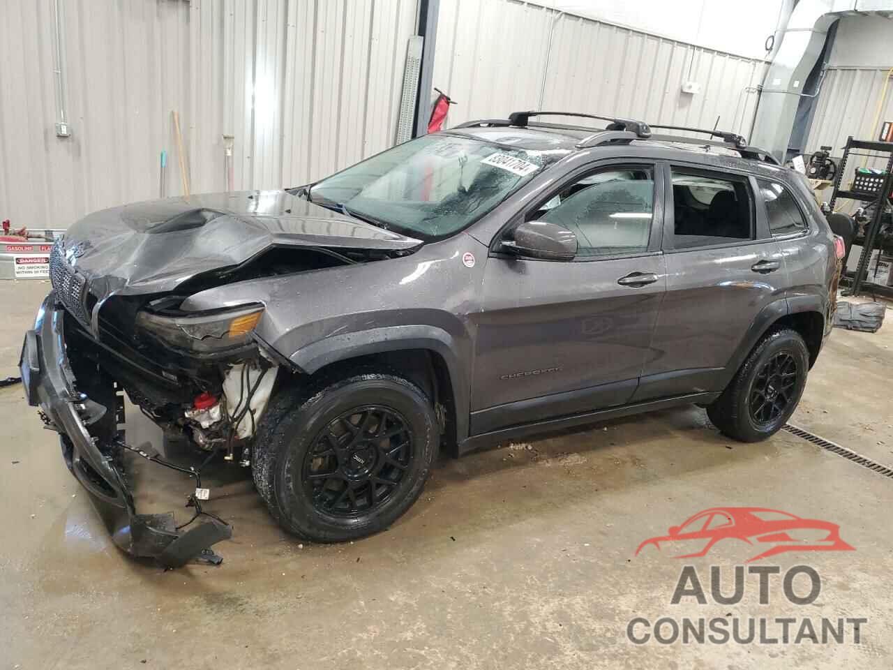 JEEP CHEROKEE 2019 - 1C4PJMBN6KD162156