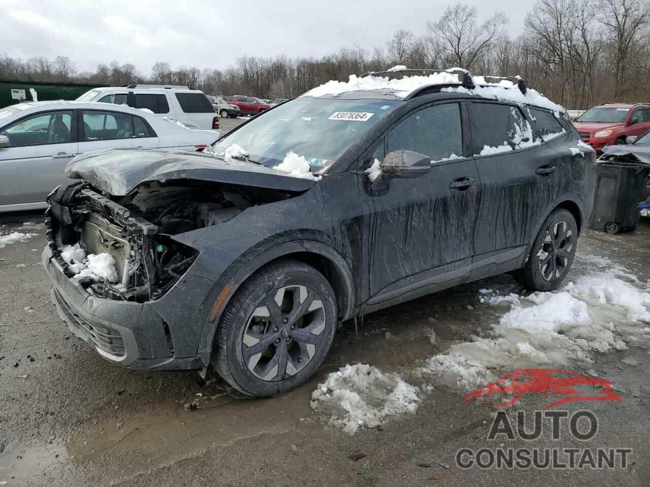 KIA SPORTAGE X 2024 - 5XYK6CDF1RG165344