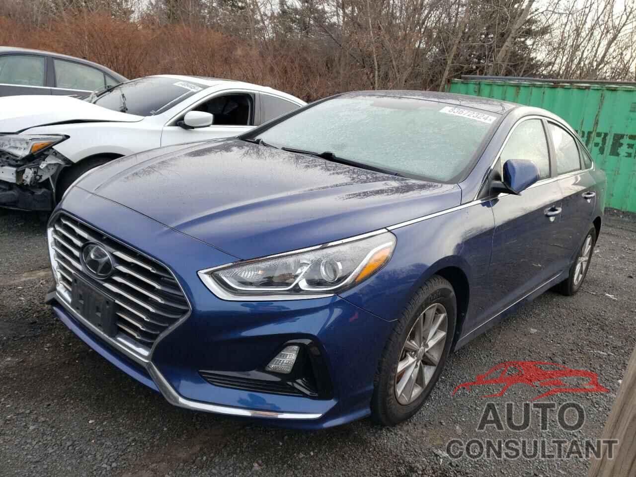 HYUNDAI SONATA 2019 - 5NPE24AF9KH747886