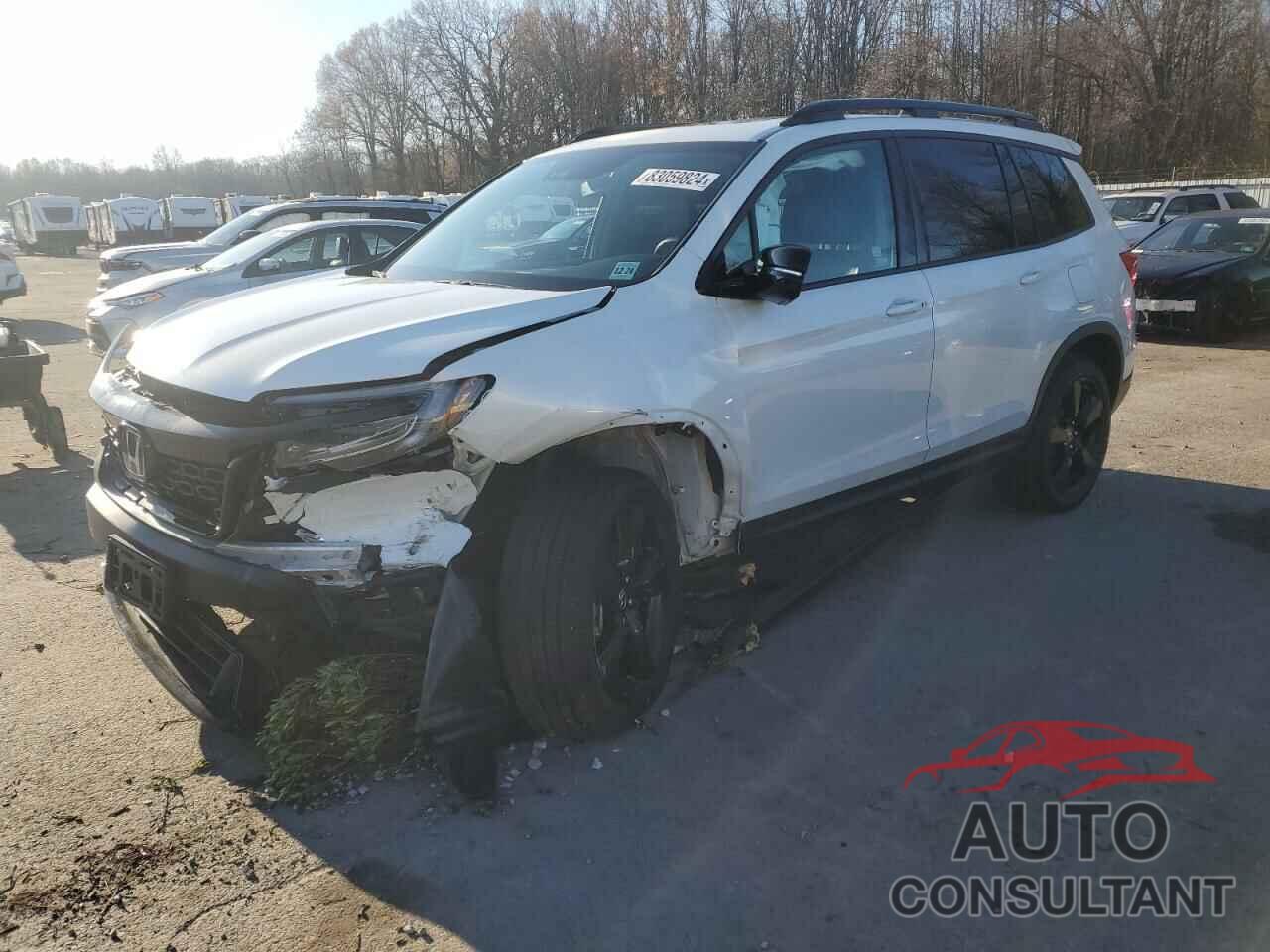 HONDA PASSPORT 2019 - 5FNYF8H09KB028291