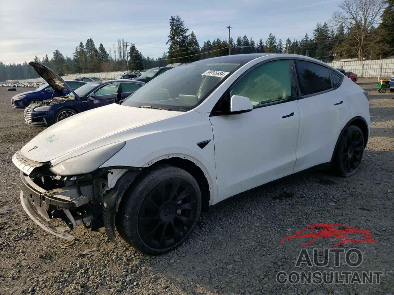 TESLA MODEL Y 2021 - 5YJYGDEEXMF095636