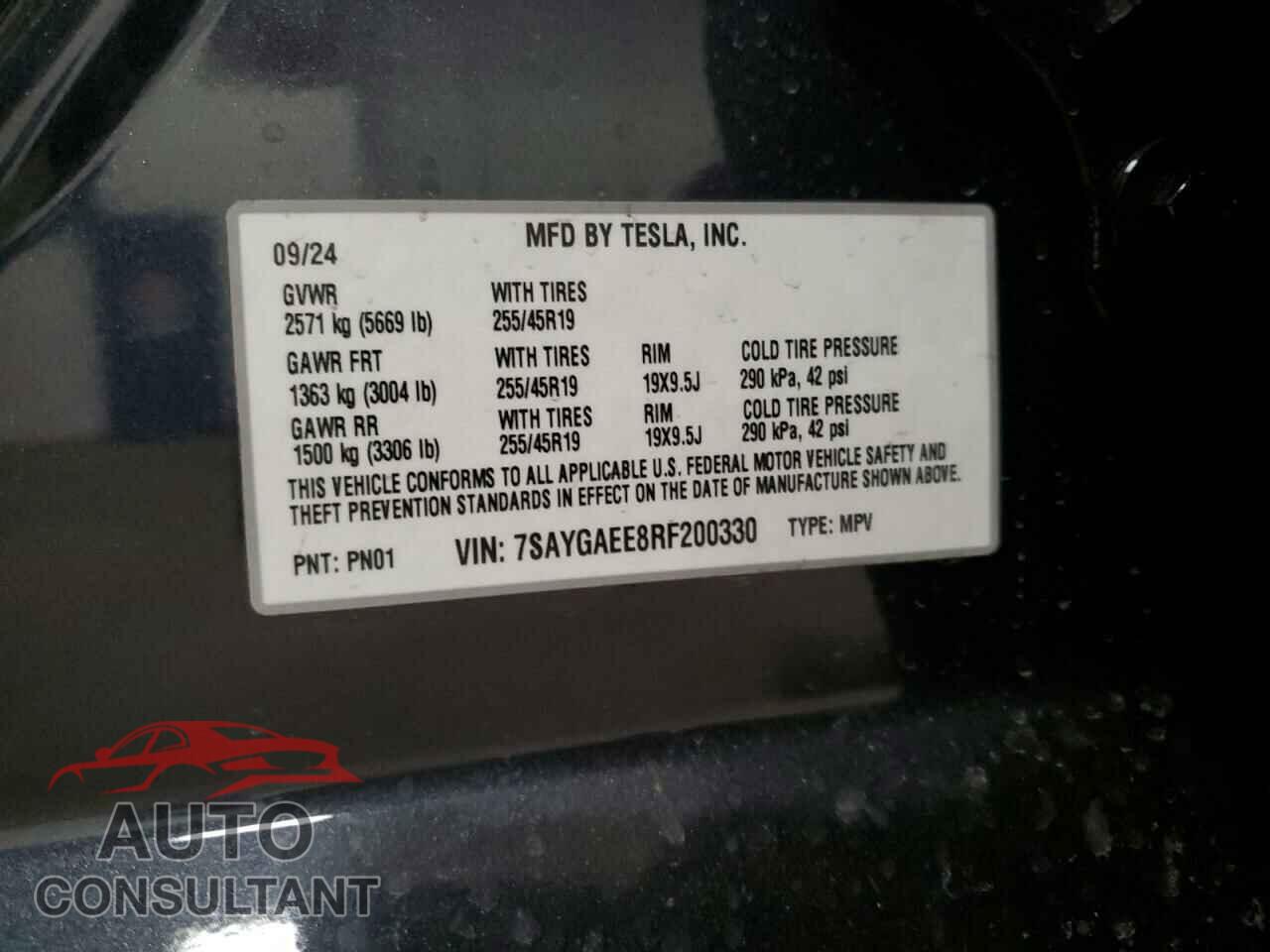 TESLA MODEL Y 2024 - 7SAYGAEE8RF200330