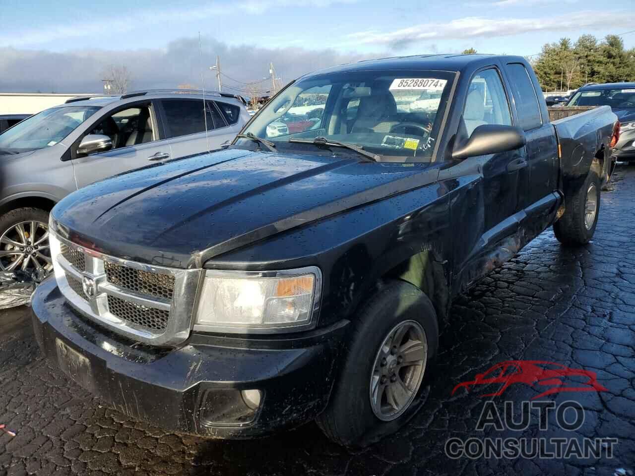 DODGE DAKOTA 2011 - 1D7RW2BK3BS602758
