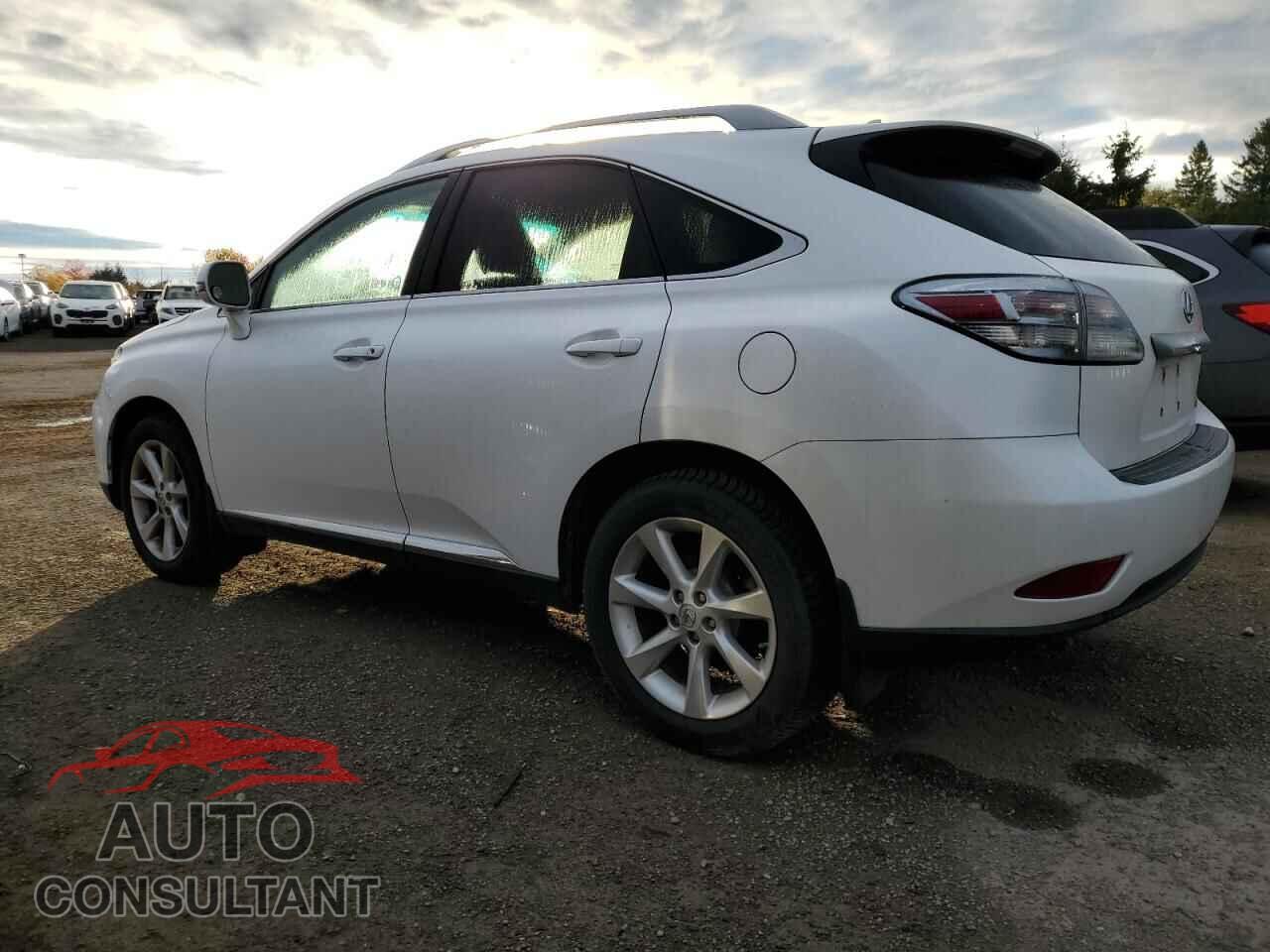 LEXUS RX350 2011 - 2T2BK1BA5BC088739