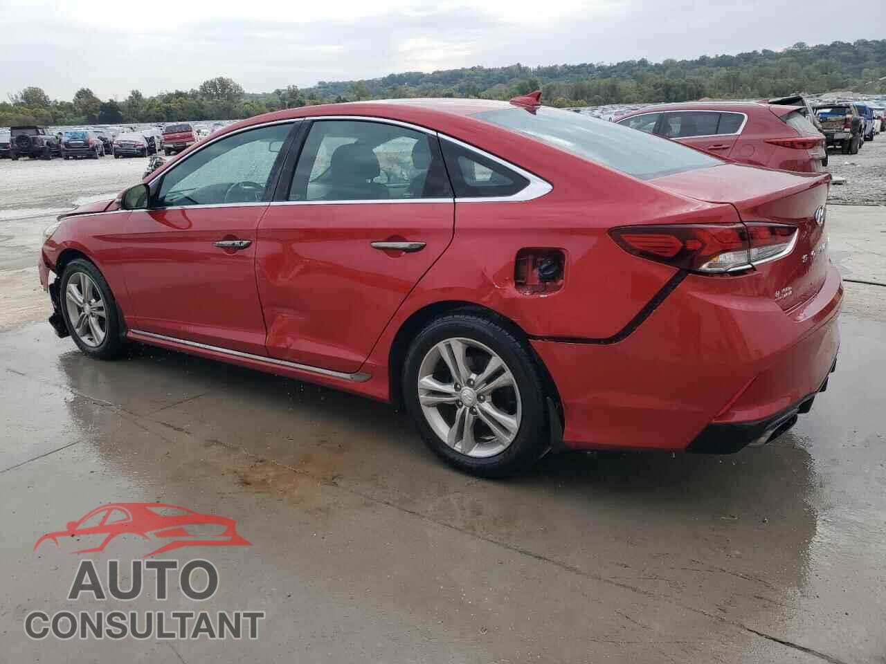 HYUNDAI SONATA 2019 - 5NPE34AF2KH821677